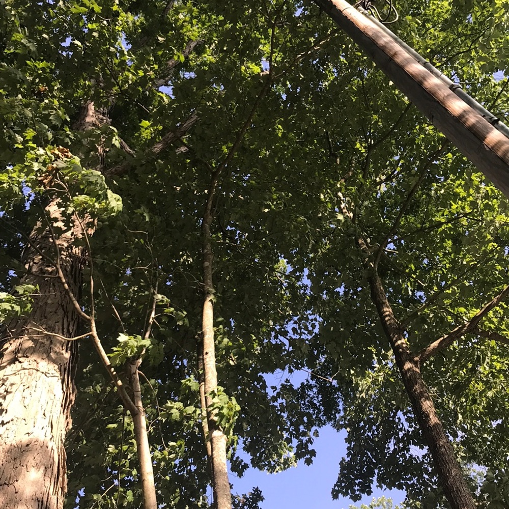 Meet your Posher, Katelyn